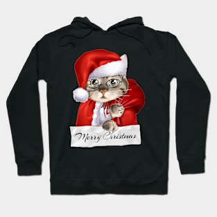 MERRY CATMAS Hoodie